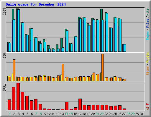 Daily usage for December 2024