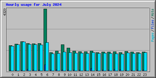 Hourly usage for July 2024