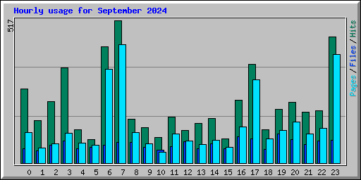 Hourly usage for September 2024