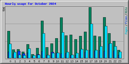 Hourly usage for October 2024