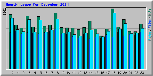 Hourly usage for December 2024